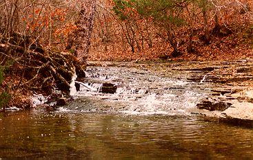 Our creek in Norfork, Arkansas